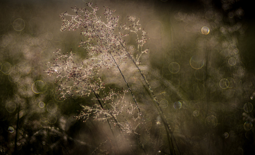 Platz 6 Sieglinde Senser